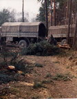 IMG 0005