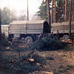 IMG 0004