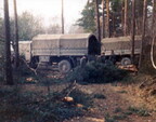 IMG 0004