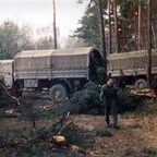 IMG 0006