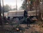 IMG 0006