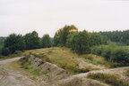 IMG 0078