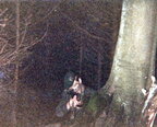 1981-10 - Brisk Fray (3)