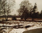 1984 - Bergen