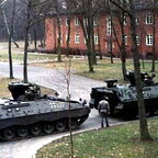 Marder vorm Aufruesten