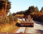 Bergen Hohne 790003