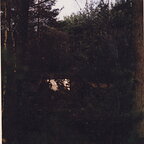 IMG 0055 (2)
