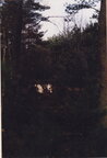 IMG 0055 (2)