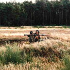 NVA 12